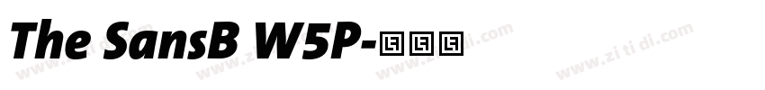 The SansB W5P字体转换
